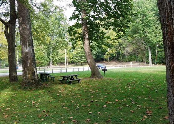 picnic tables and grill