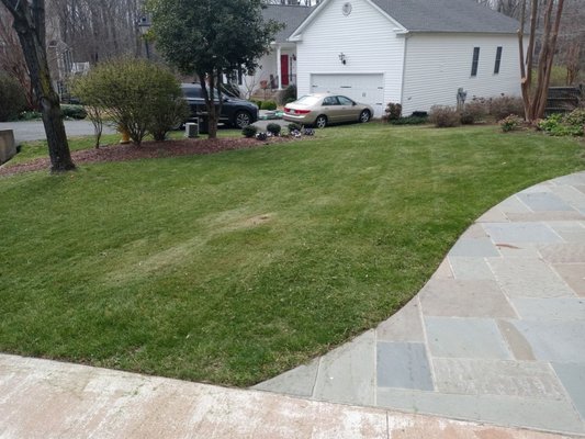 Latney Landscaping