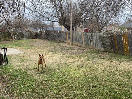 Fence before getting repaired