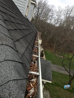 Gutter Cleaning Service Project in Fairfax VA Wash Out Now Soft Washing