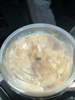 Spider in my wife's iced coffee.