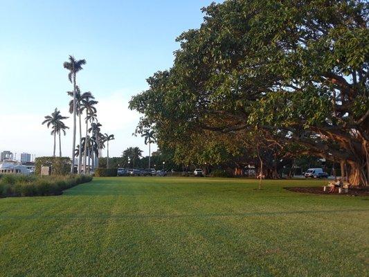 The park along the marina.