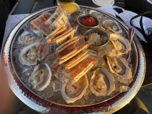 Dollar oysters