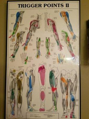 I always love this kind of posters! Doctor can always clearly explain what's going on in your body.