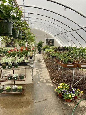 Small greenhouse area