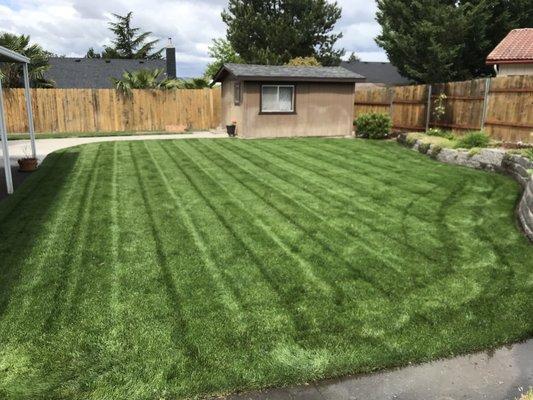 This could be your lawn! Call today!