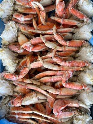 Big dungeness crabs