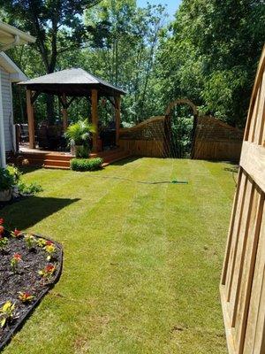 Green Piedmont Sod and Landscaping