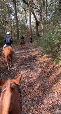 Trail from Rascal and I's point of view