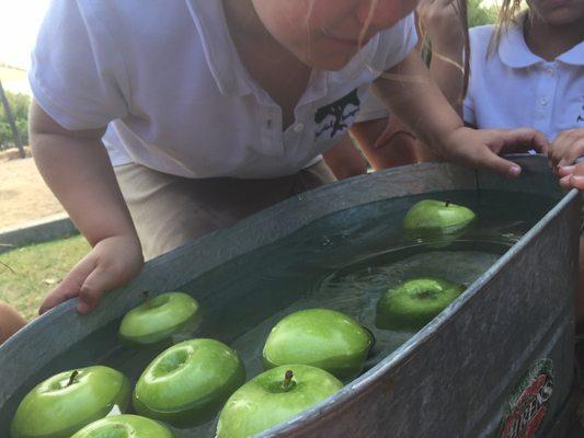 Bobbing for apples