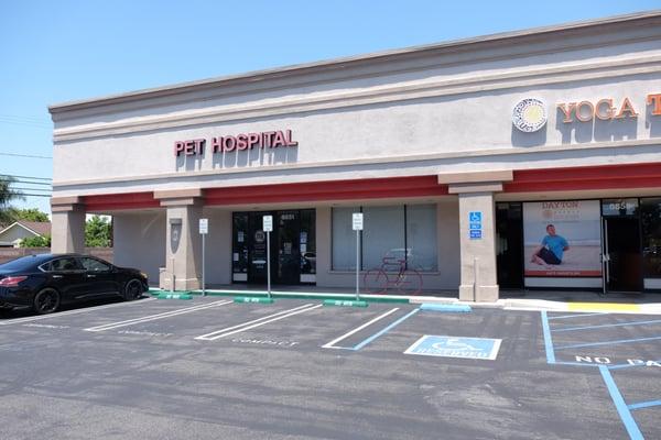 Lewis Andrew, DVM - Huntington Beach Pet Hospital