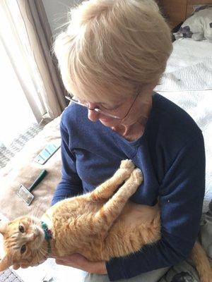 My little orange guy, most affectionate thing on earth, with the angels now