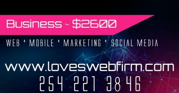 Love's Web Firm Business Brochure (Futuristic)