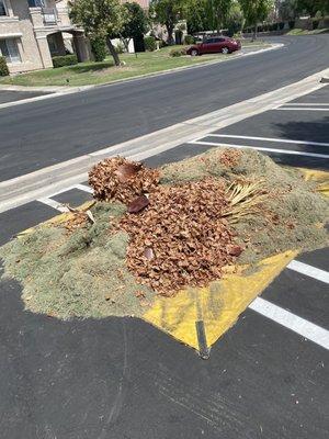 Another compost pile.