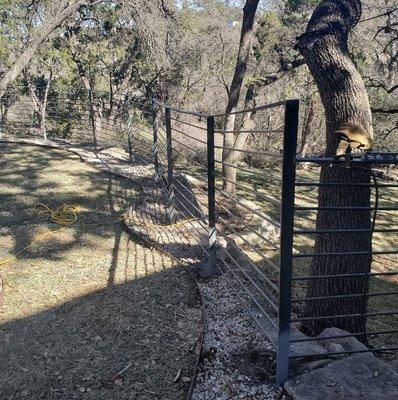 Fencing for your animals