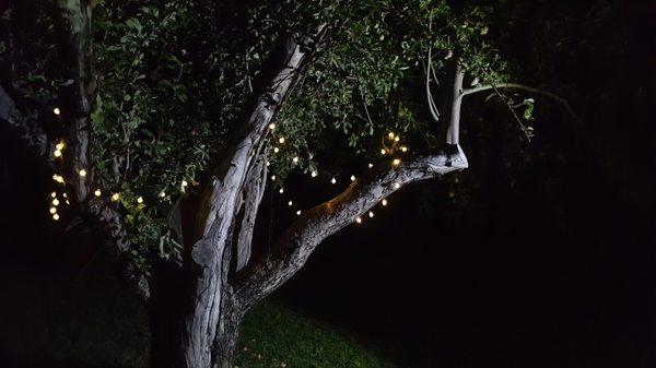 We added solar string lights to add to the already charming campground.