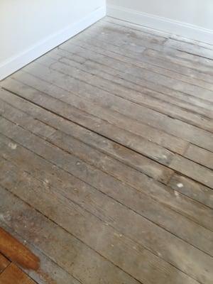 pine floor, before