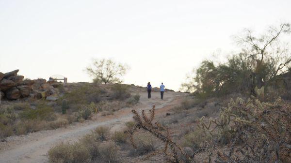 Some clients like to take a hike for walk and talk therapy.