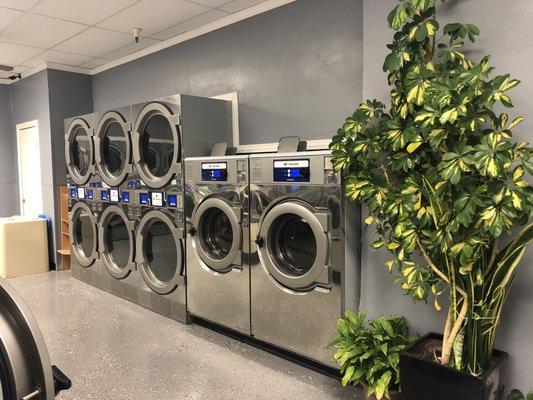 Larger 50lb dryers