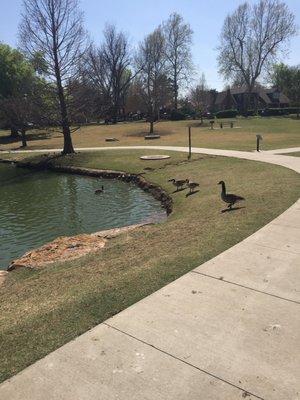 Our local park