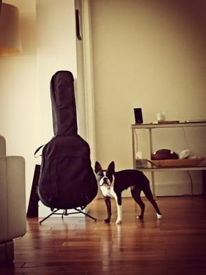 Samson's ready to strum some strings, but first, Wag N' Walk.