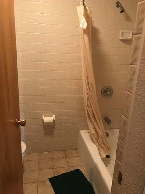 Shower and toilet