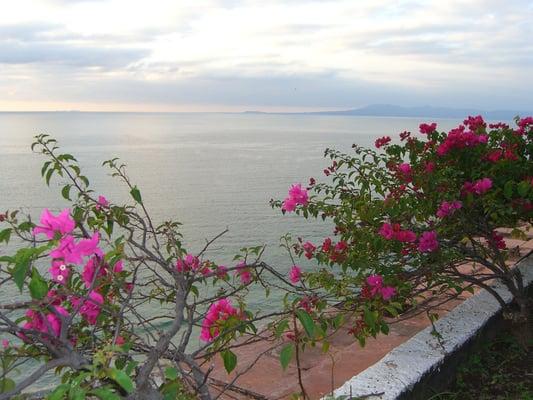 PuertoVallarta Mexico