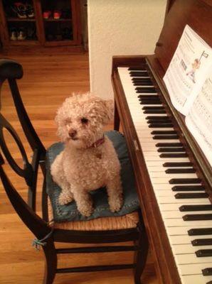 She's always rrready for her piano lessons.