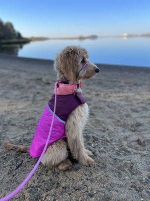 Bluff Point State Park