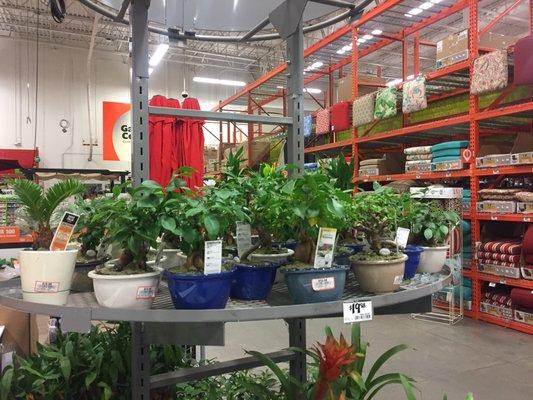 Home Services at the Home Depot