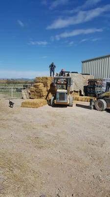 Using the skidster to load hay