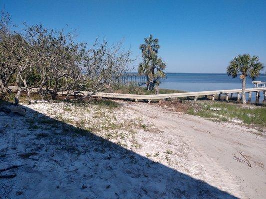 After pics of storm tree we removed.