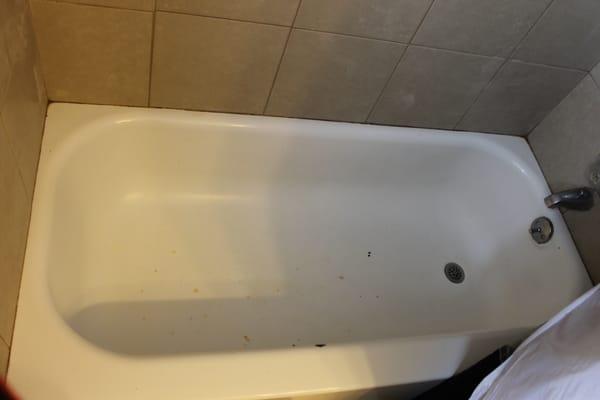 A chipped, stained and extremely old bathtub.