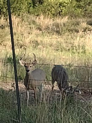 Limpia Creek Campground and Rv Park