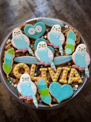 Custom Parakeet Cookie Platter