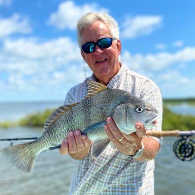 Black drum on a fly.