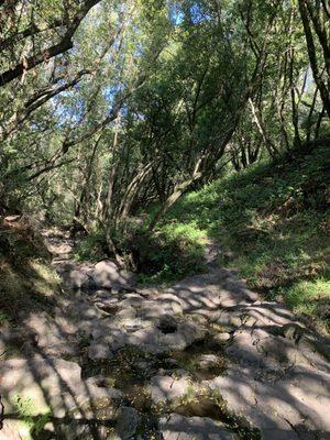 Trail along the water