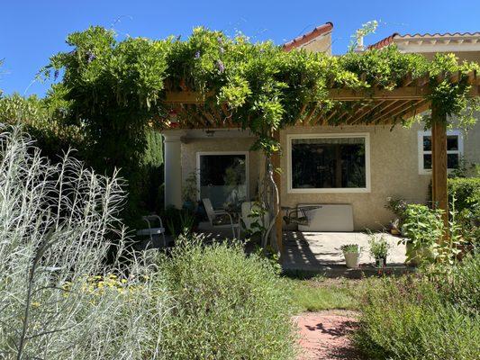 Pergola really shades the house in summer