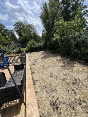 Yard graded with new top soil, seed and hay for new lawn.