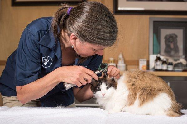 Doctor Wright working with patients