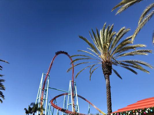 Xcelerator November 2023