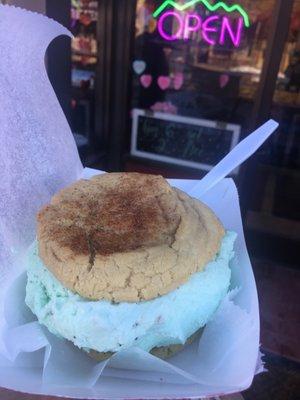 Snickerdoodle, mint chocolate chip ice cream sandwich!!!!