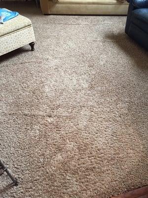 Turbo Clean Carpet & Furniture Cleaning