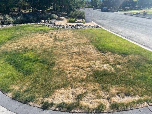 lawn I have been trying to revive, with sod lines visible, laid directly over rock