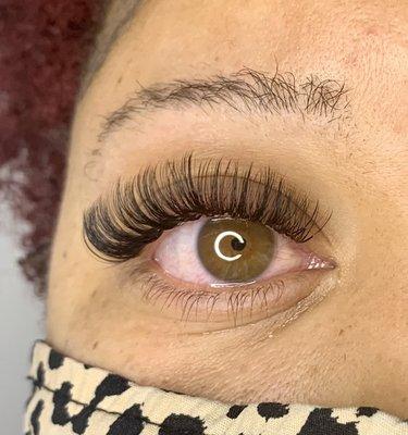 Hybrid Lashes