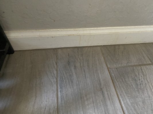 Baseboards sprayed with cleaner?