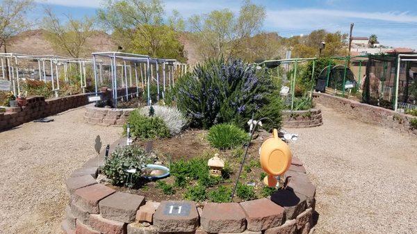 The Community Gardens part of Reflections Center.