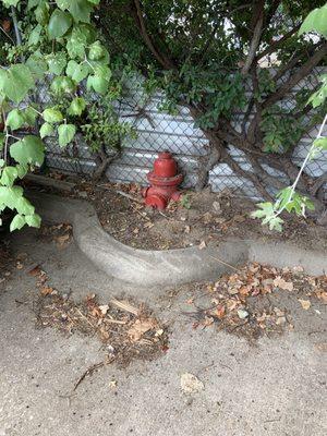 Here you go, fire department. Have fun hooking up a firehose to this hydrant, which is buried halfway in the ground.