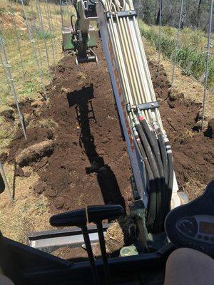 Breaking up native soil to add amendments