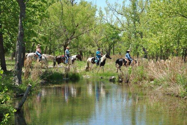 Bring your own horse and enjoy 725 acres of trails.